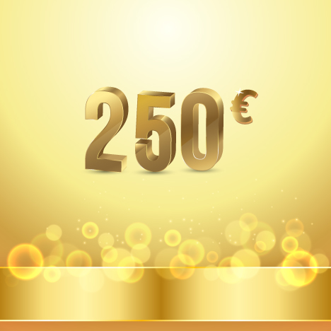 maintenance technique 250 Eur